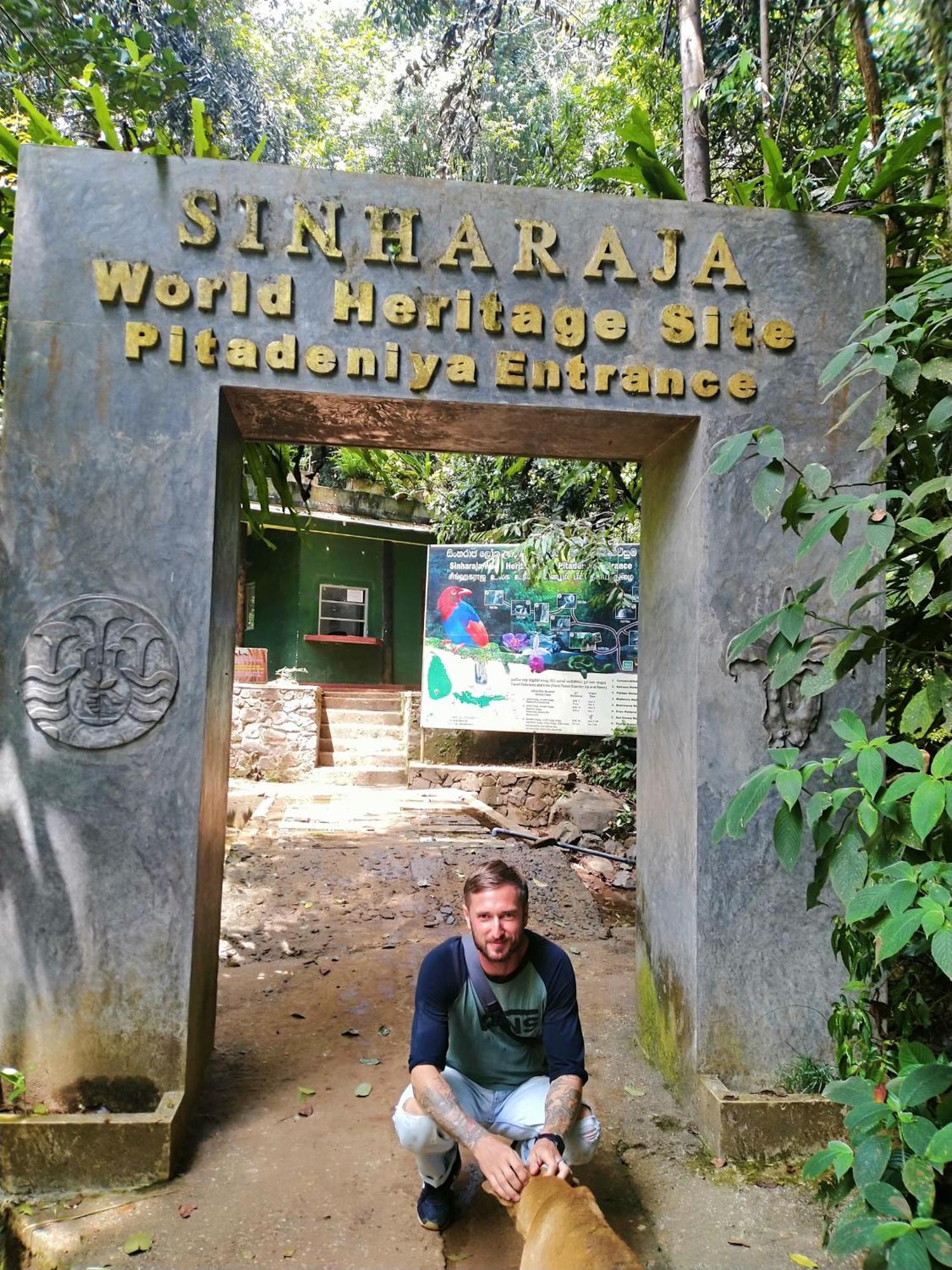 Sinharaja Riverside Deniyaya Extérieur photo